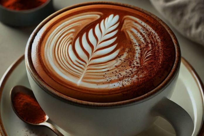 Mocha Tarifi
